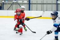 Turnaj Frýdlant 2.4.2022 - ročník 2014 12